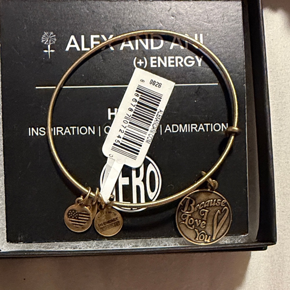 Alex and Ani Gold Charm Bangle